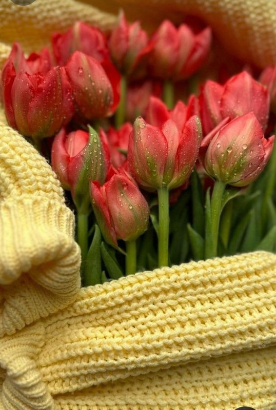 Screenshot_20240331_161345_Pinterest