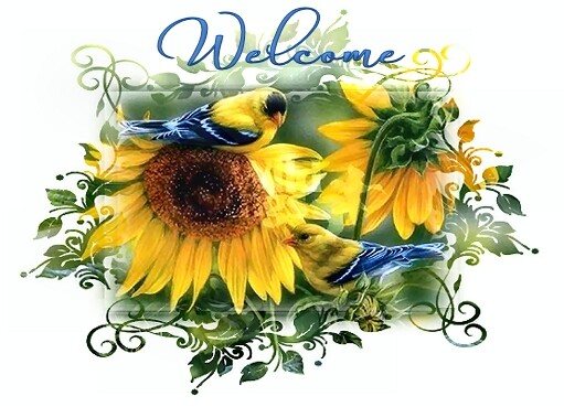 lcomeyellowsunflowerbirdsjulea-vi.jpg