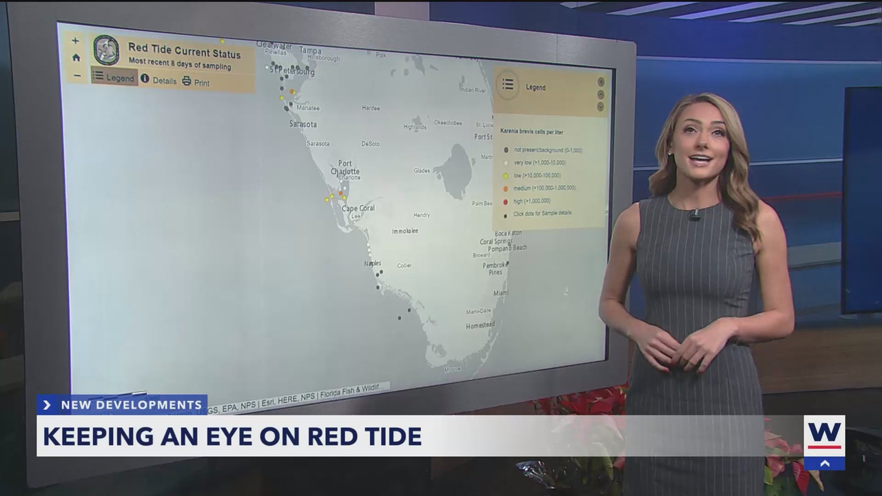 WINK News at 11_20241227_04000435.ts_snapshot_06.53.226