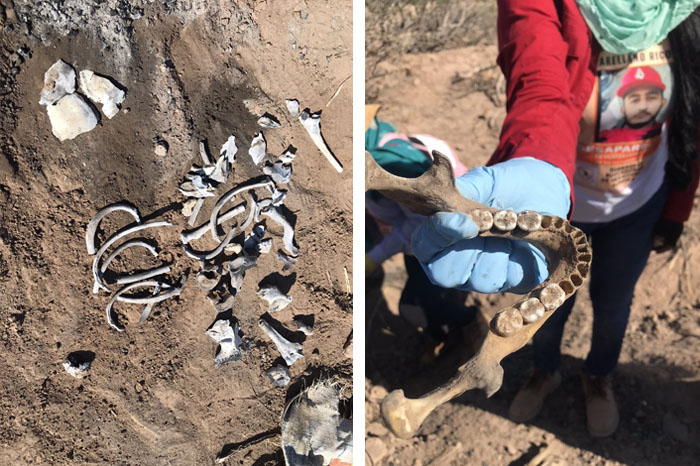 Nueve cuerpos localizados en cinco fosas clandestinas en San Luis Río Colorado