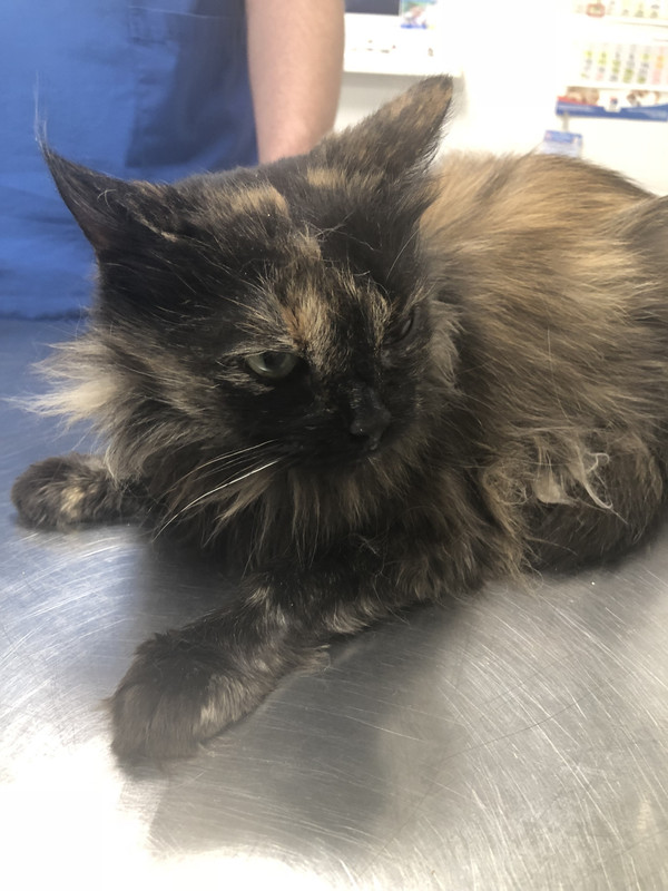 6BD566B5-5CB7-48C8-A077-A01436FCBCFD