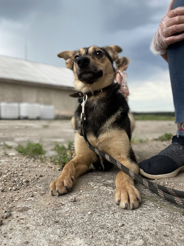 IMG_20210621_154201_000