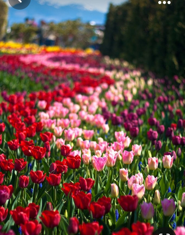 Screenshot_20231014_214658_Pinterest