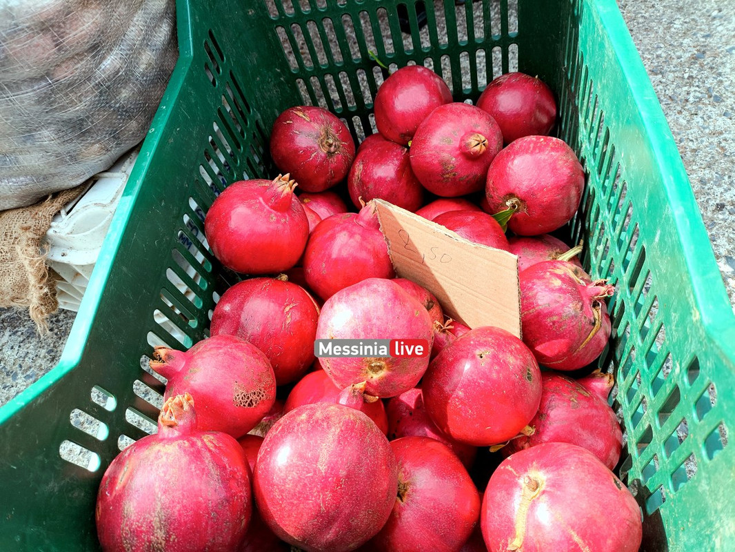 LADASIMG-20251012-123214