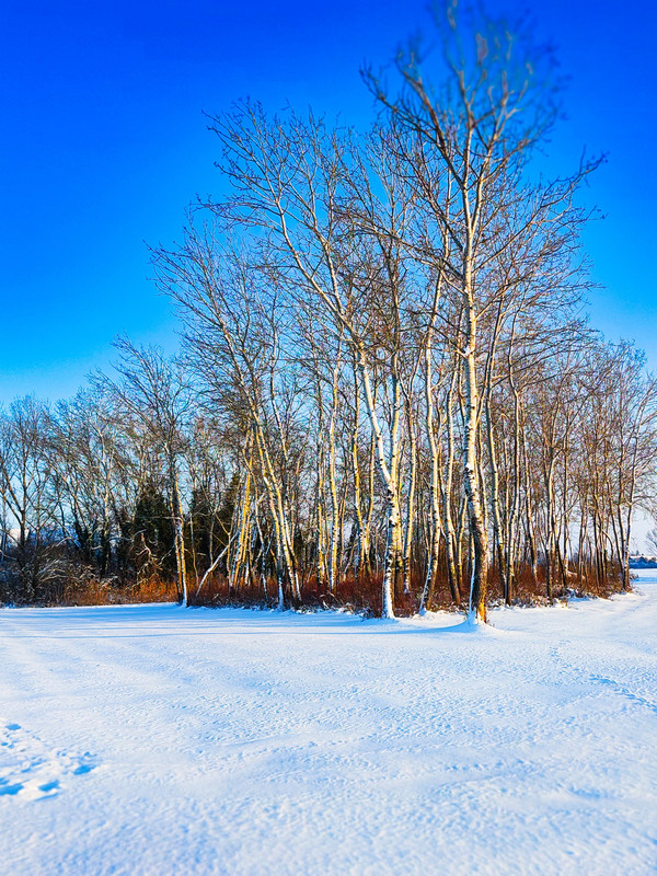 613198930-1996687717943394-5519639342720