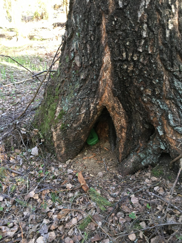 67918FF5-C191-4735-B890-EE3BD9231C18