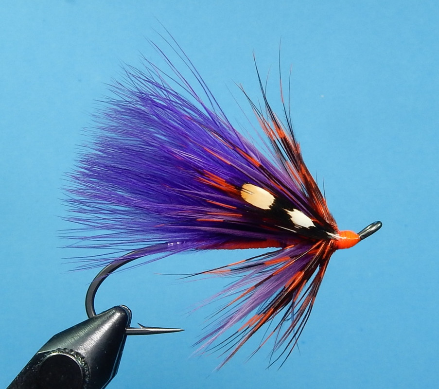 Shewey-s-Spawning-Purple-1080.jpg
