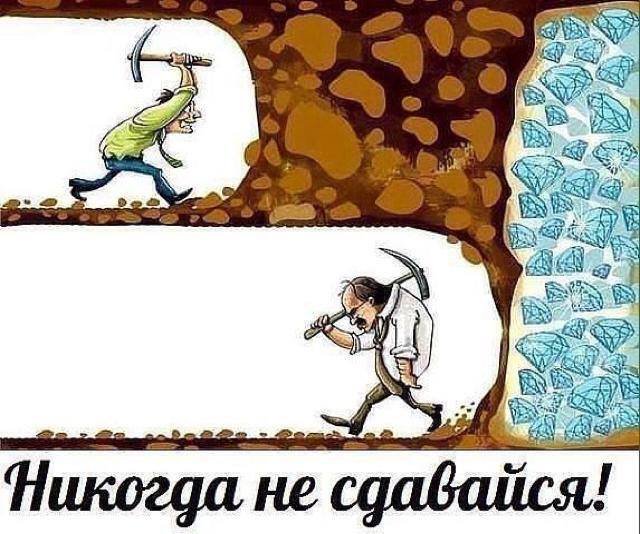 https://i.postimg.cc/Qx7wkHfY/10923238-565693000231922-3491317136901638028-n.jpg