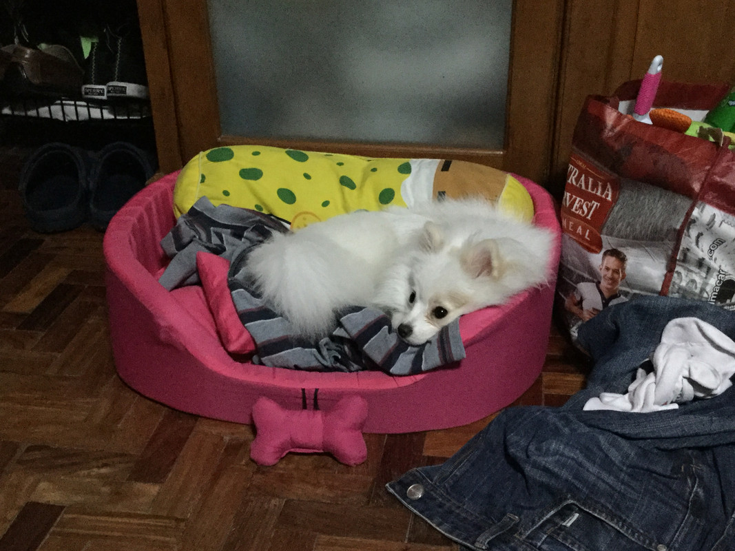 D6AE818E-733F-474D-8859-B97B2DB5E37F