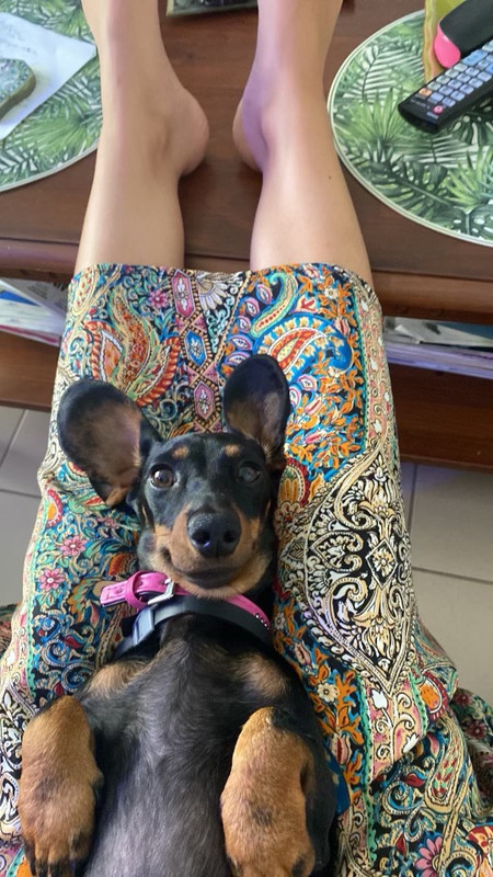 [Image: IMG-8465.jpg]