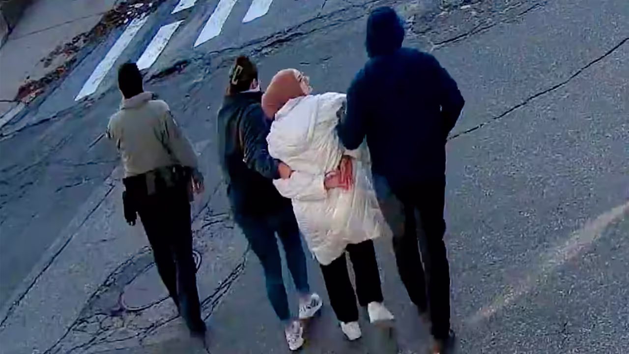 Background on Rumeysa Ozturk