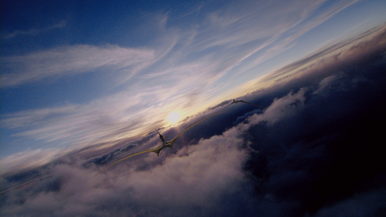 vlcsnap-2023-01-08-14h49m17s316