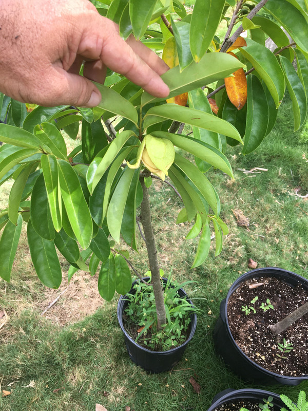 1739C22C-D05C-416B-96C3-79EEBC4AD5DF