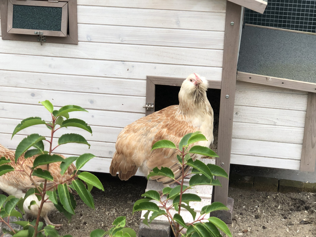 C70D51E4-B456-4FD8-82F5-1A4219CF8B6D