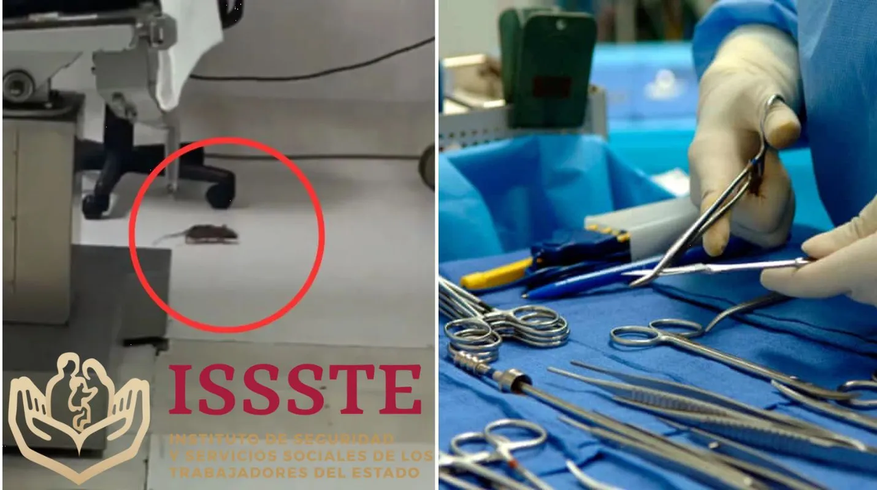 Rata aparece en quirófano del ISSSTE en BCS y se hace viral
