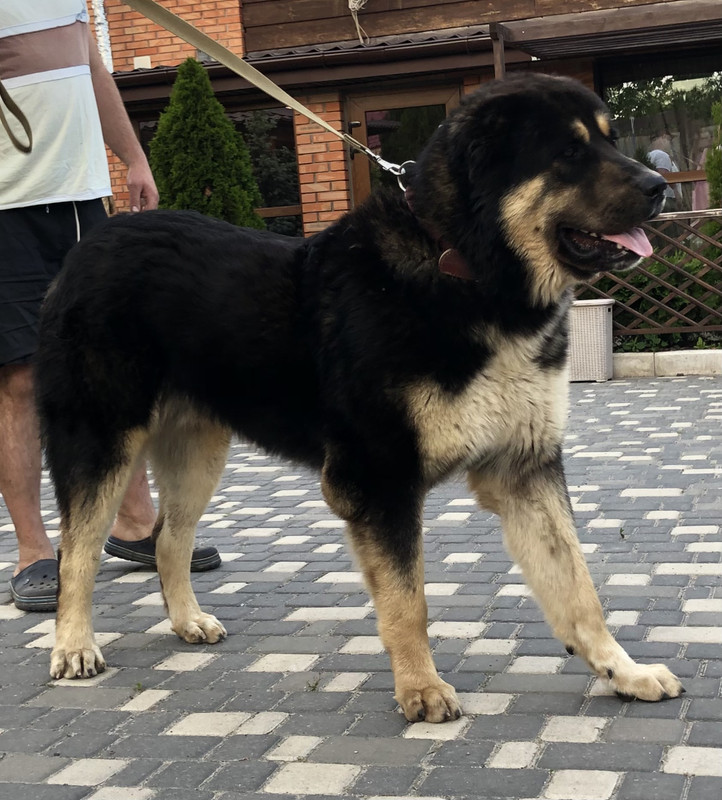 253AA53E-63A8-467E-B661-64764D4A8A44