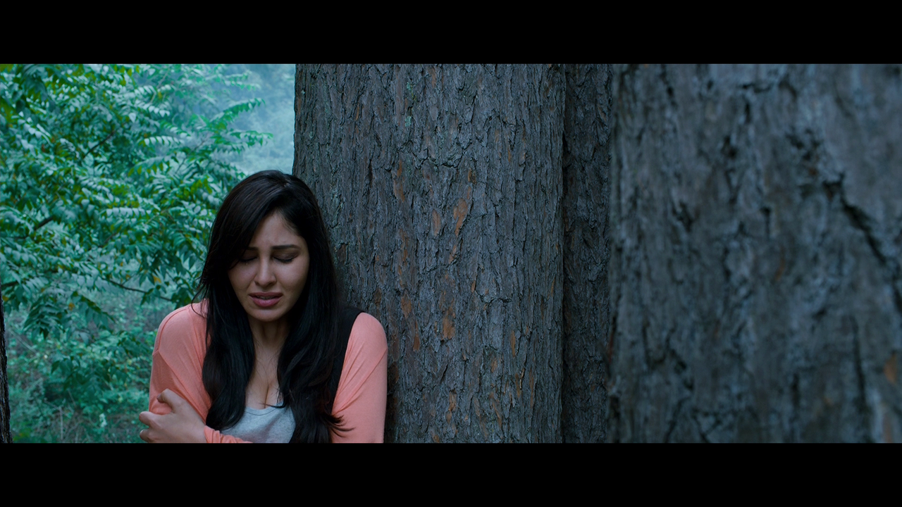 vlcsnap 2026 02 27 19h24m04s029