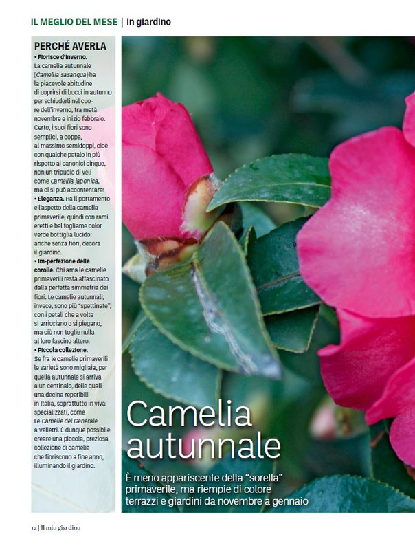 Il Mio Giar Ott-Nov 2023 (1)