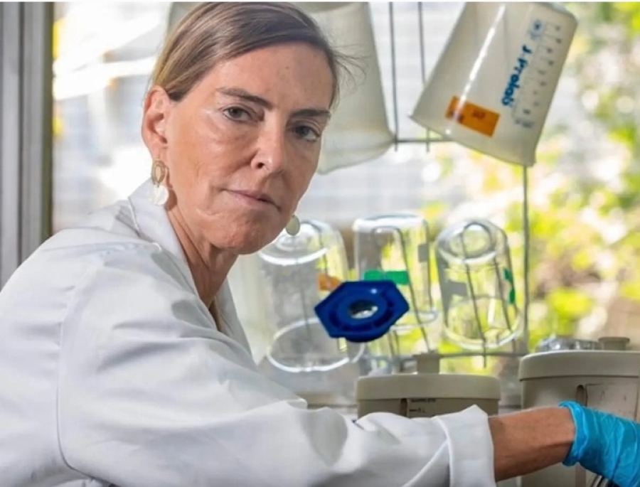 cientista-brasileira-tatiana-coelho