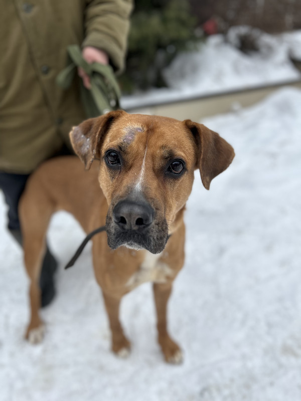 00032EF4-EF6E-4153-B3B9-A09461496BA9