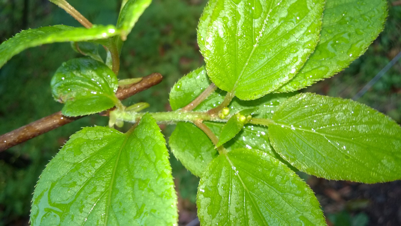 WP_20160414_002