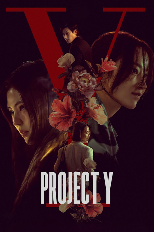 Project Y (2026) Hindi Dubbed ORG