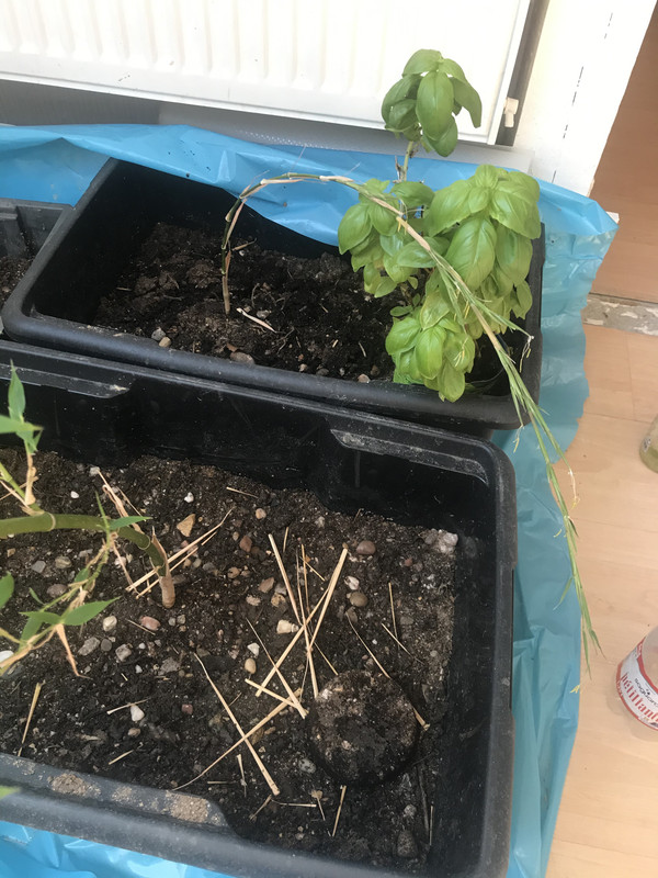 8A4AF653-6DF5-4E29-9418-26171A06EFF9