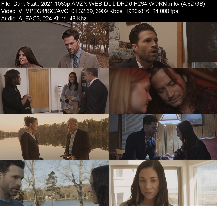 dark-state-2021-1080p-amzn-web-dl-ddp2-0