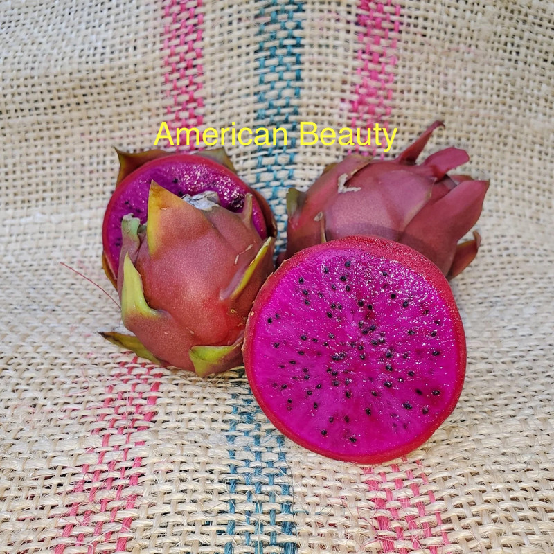 图片_20250122223544