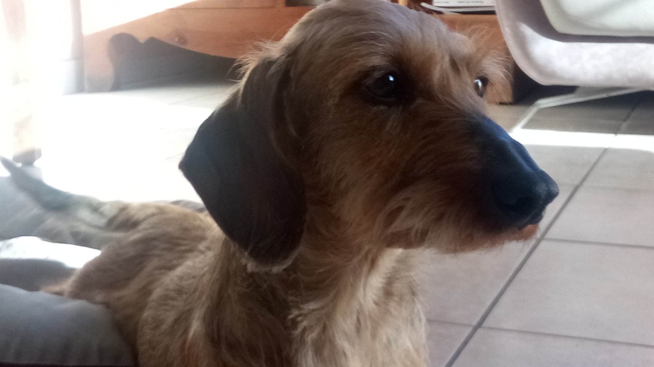 [Image: IMG-20240502-083904.jpg]