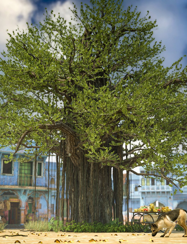 Banyan Trees High Resolution Plants