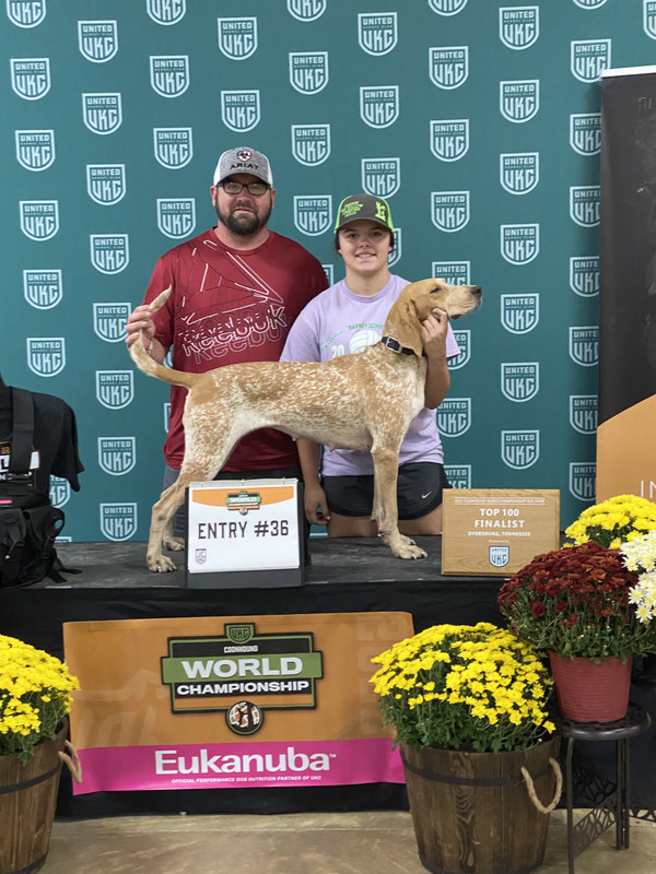 C9919857-A424-4DE2-9F71-9DD7E84956AA