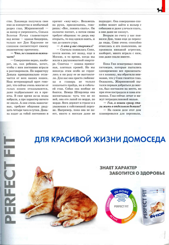 Друг кошек № 10 2009-12