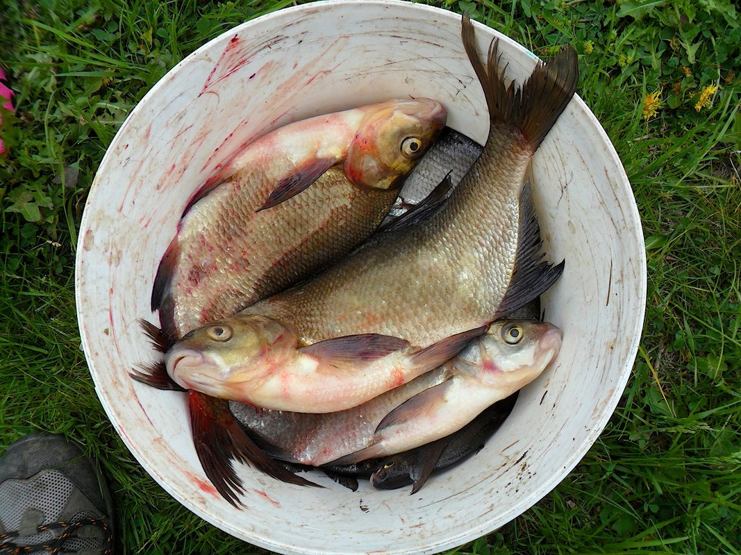 Кочебахтино 4-5.06.13 г 7