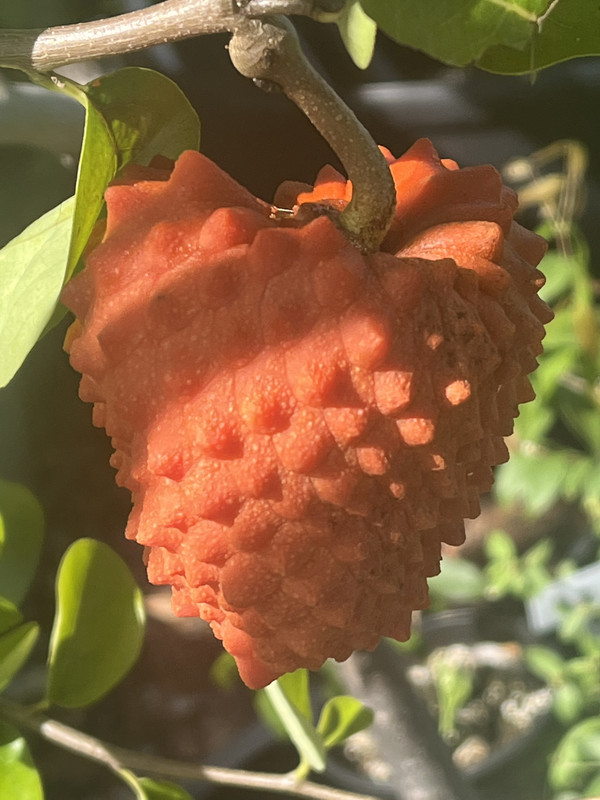 9D36395E-77FB-4199-B788-AABFAEF88865