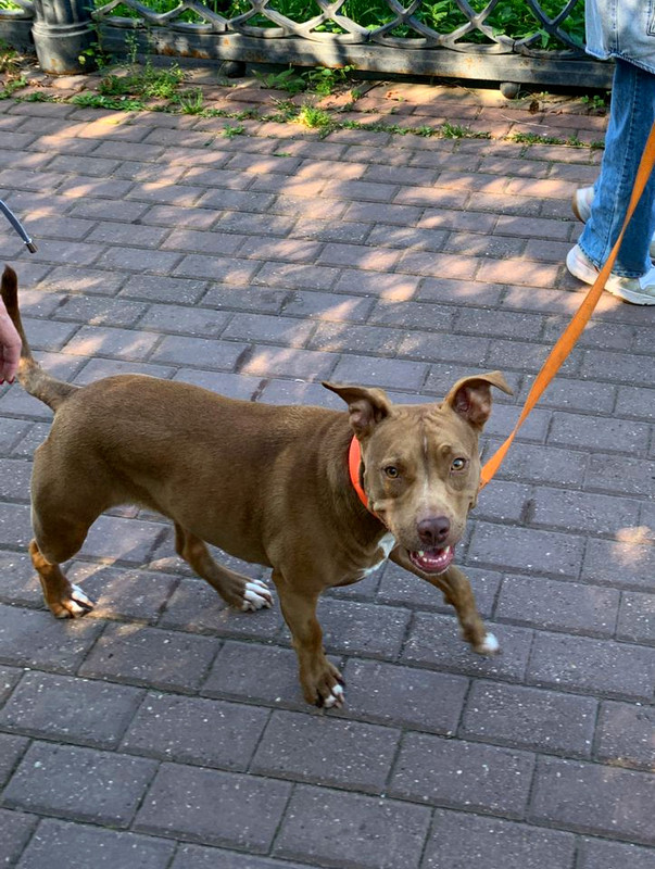 тася 2-fotor-20230825141124