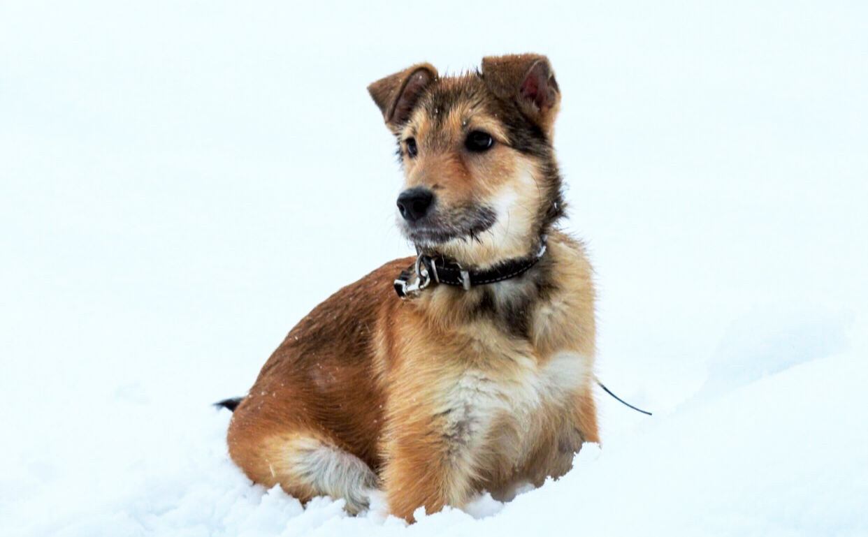 D42F8C7E-9F6A-42E0-88AB-013E14D17C8B