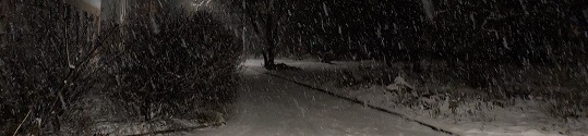 https://i.postimg.cc/QxC0mjRh/3cfc755da291891f0d1a1a74a215324a.jpg