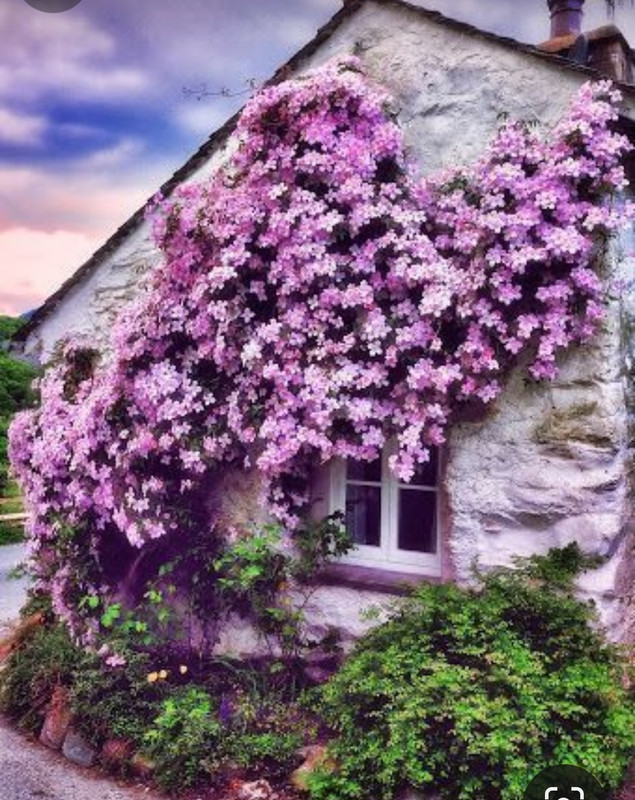 Screenshot_20240511_231319_Pinterest