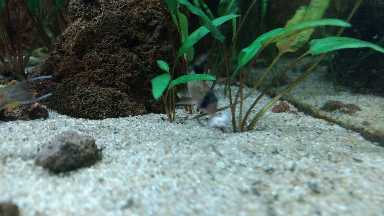 IMG_20170920_215623457