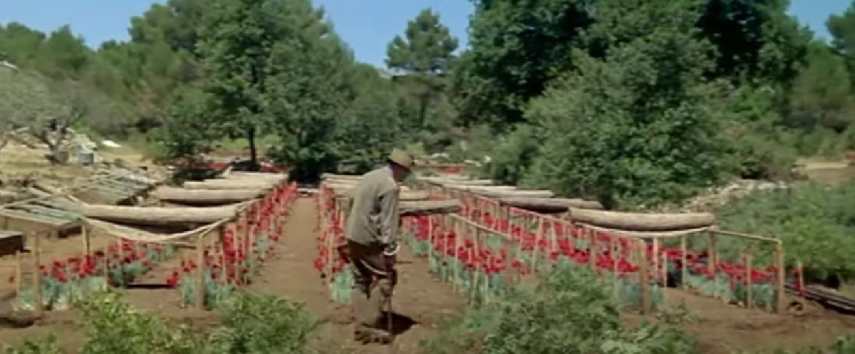film2.jpg