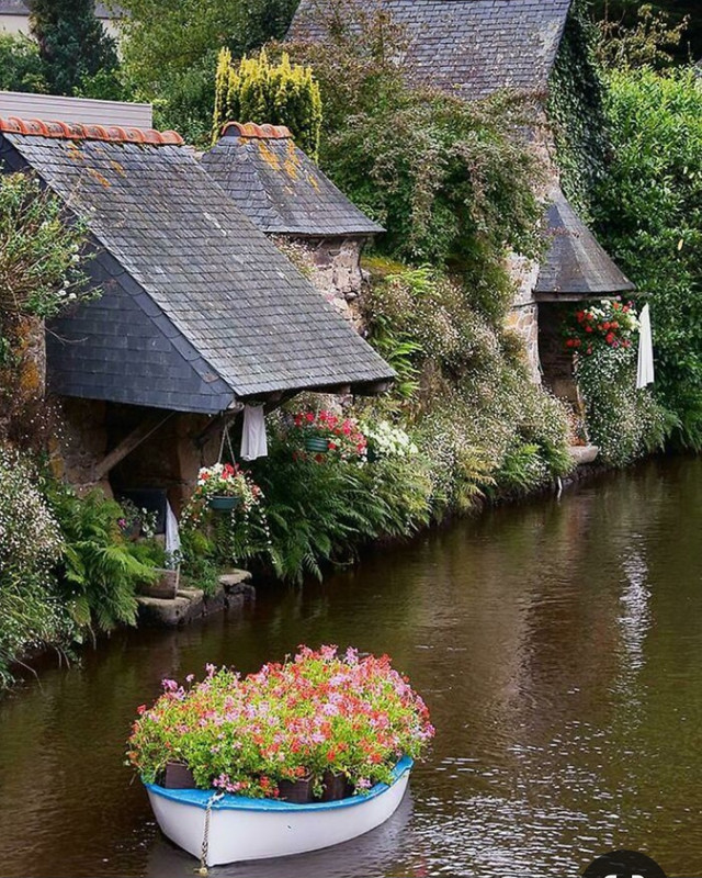 Screenshot_20240305_231111_Pinterest