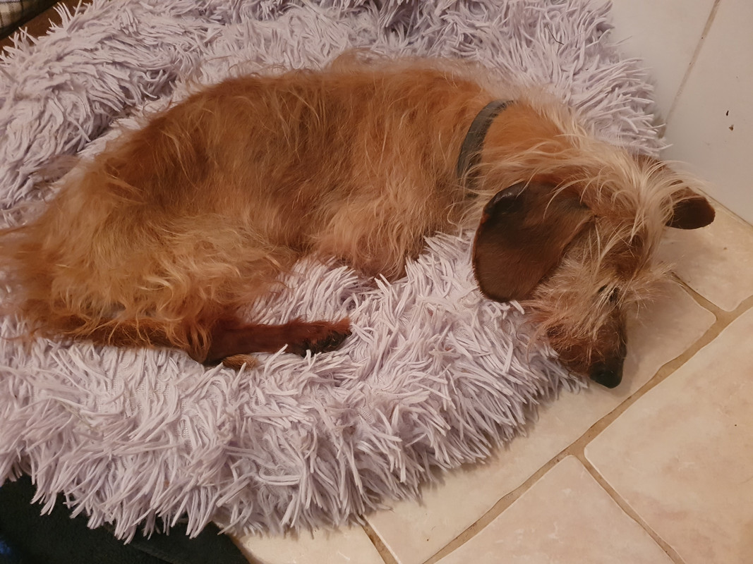 [Image: 20220618-105525.jpg]