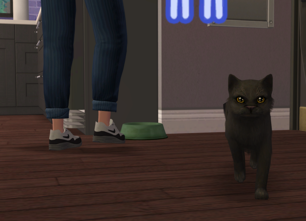 Sims2-EP9-RPC-2022-04-09-15-52-35-50