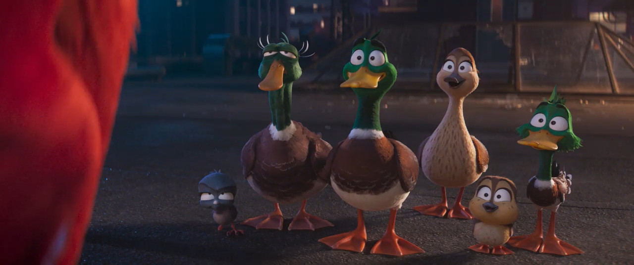 Migration 2023 BluRay [Hindi + English] 480p 720p ESub Screenshot