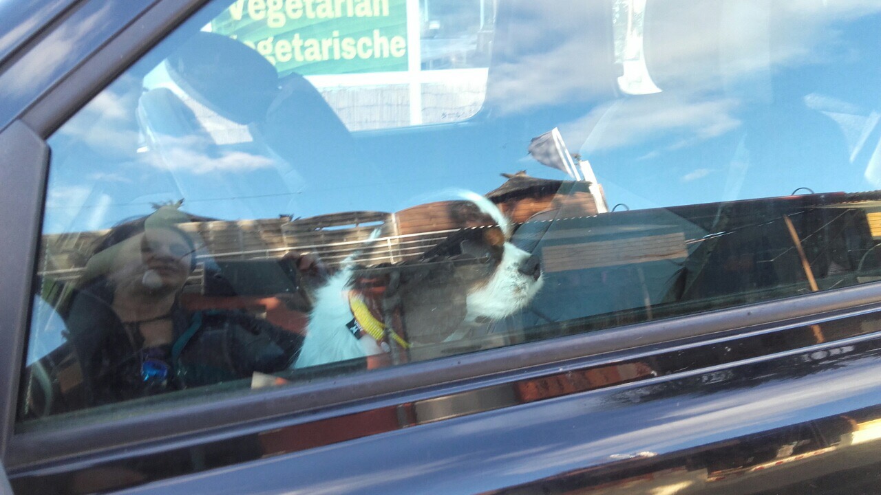 D349B162-7F87-4494-AF15-1F209F2F7CC3