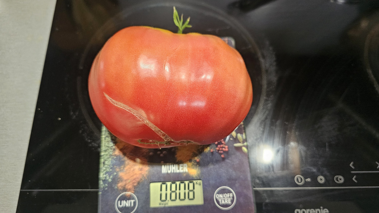 20240630_125708
