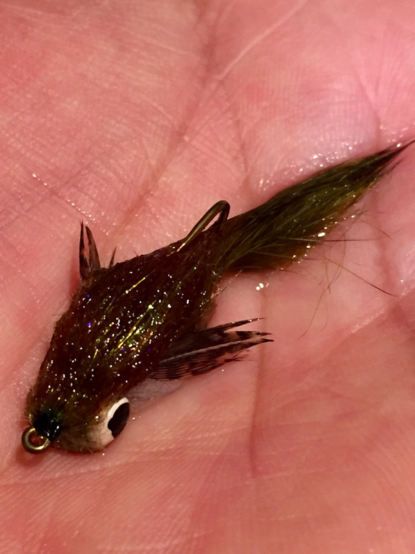 8DF16CAB-F693-41DF-92B9-AF4C7EE1B79E