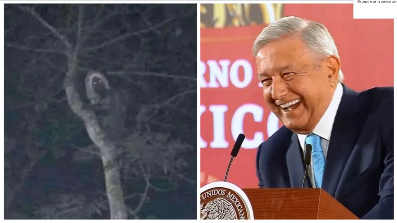 AMLO comparte foto de supuesto aluxe en lugar de datos sobre avance del Tren Maya