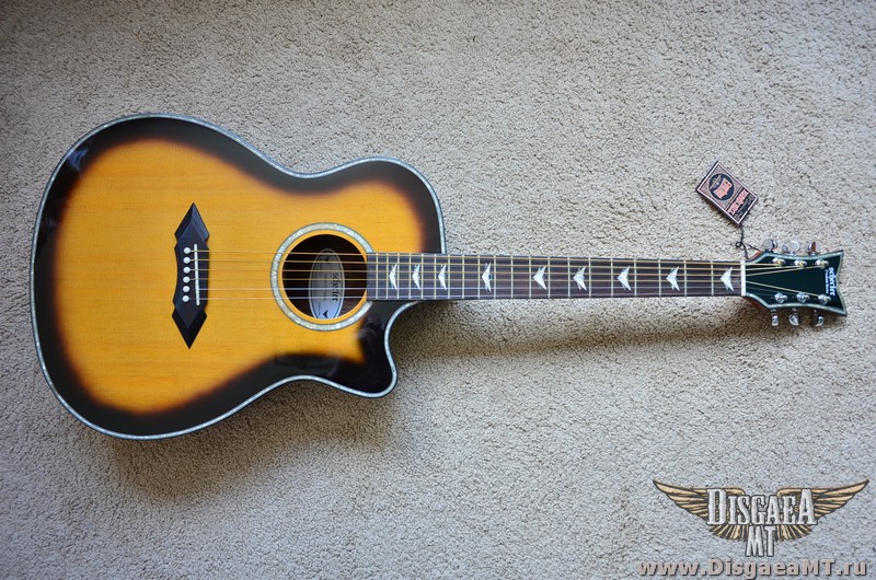 Schecter_Omen_Extreme_AC_3-VSB_001